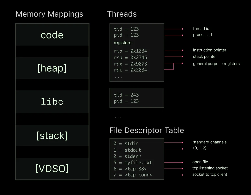 Diagram showing the internals of a Linux process as a data structure - memory mappings, thread state, file descriptor table.