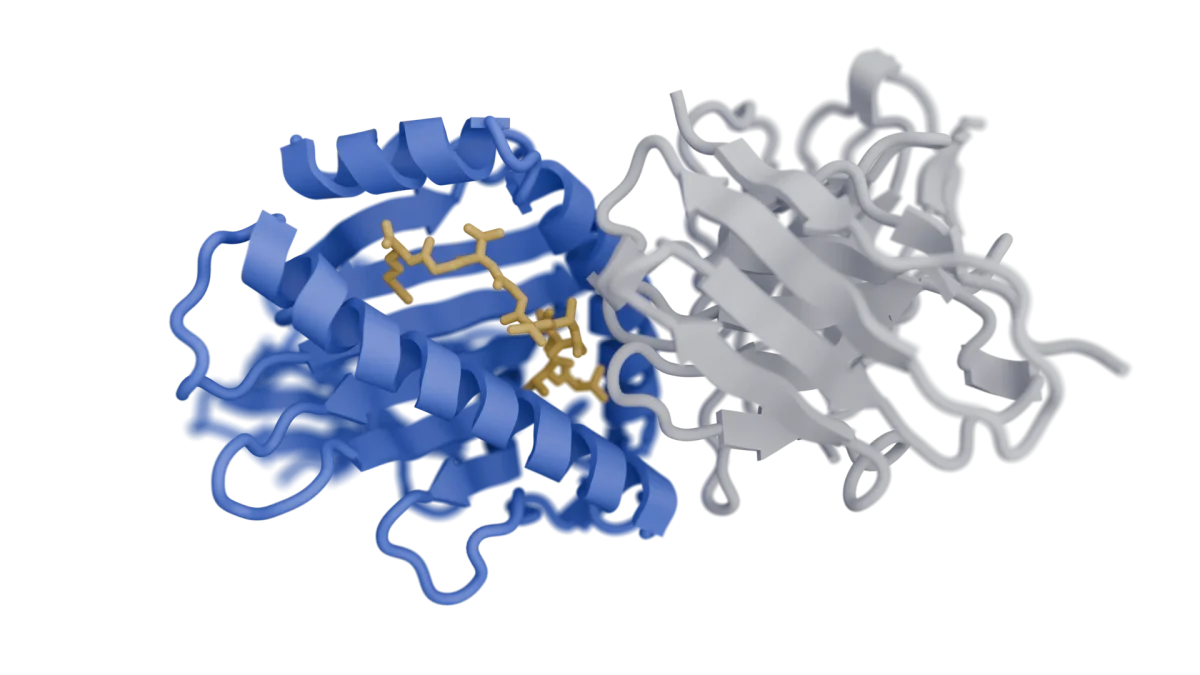 Chai Discovery Enhances Drug Development with Modal's Scalable Machine Learning Infrastructure